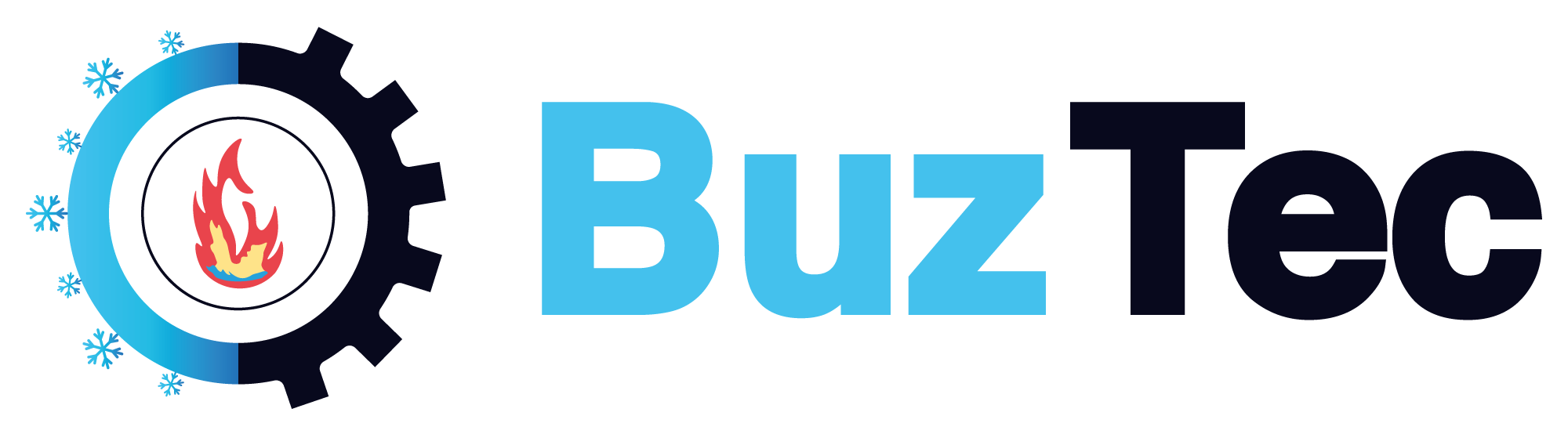 buztecshop.com